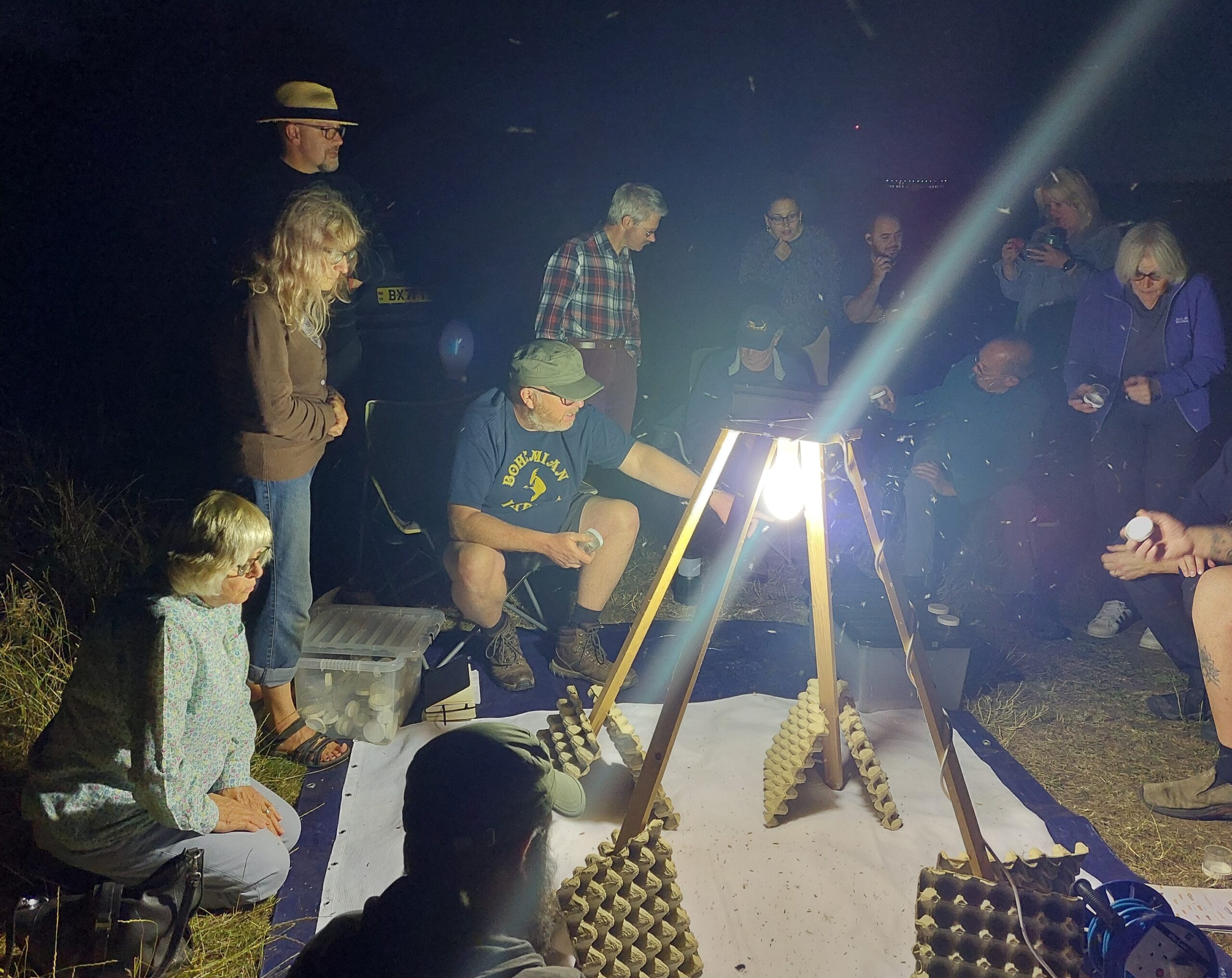 Moth Watch
