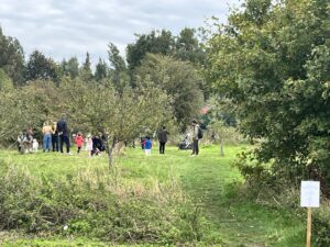 Apple Day at The Hook