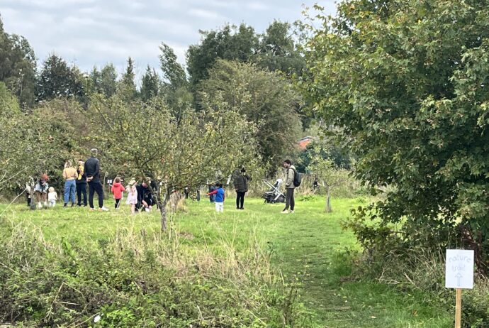 Apple Day at The Hook