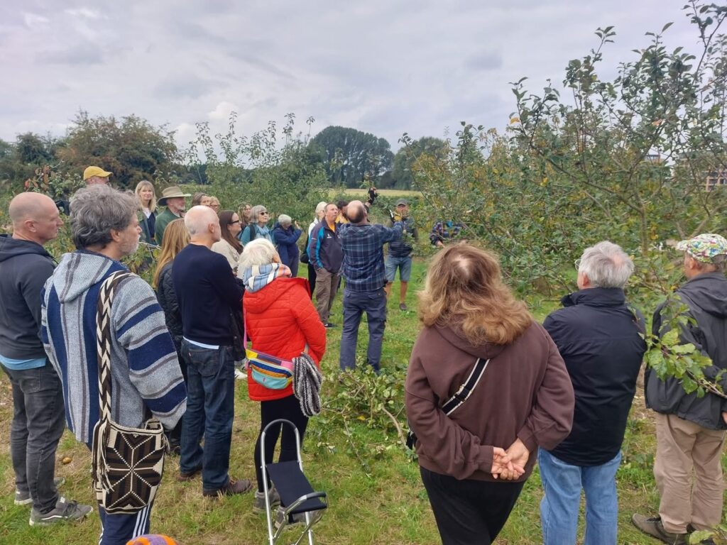 Pruning workshop